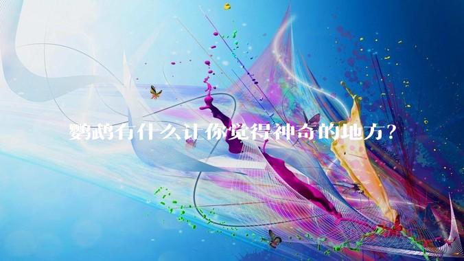 鹦鹉有什么让你觉得神奇的地方？